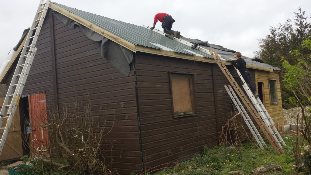 Work in action:- Replacing the shed roof, 2014.