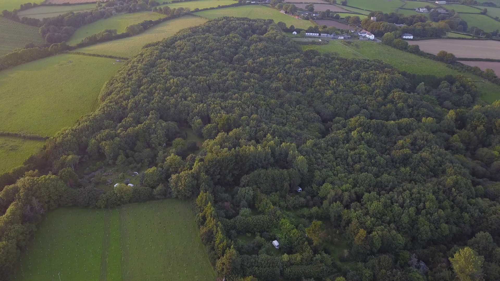 Plants For A Future Site, From Above Plants For A Future